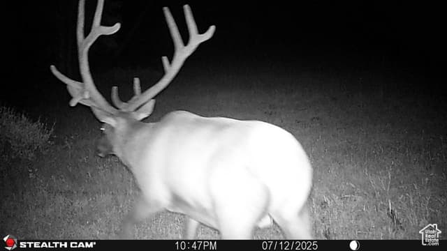 123 TBD MONROE CANYON RD