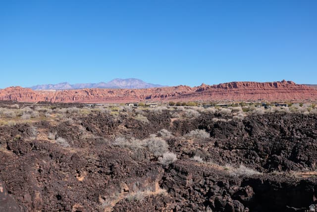 2447 SOUTH VILLAGE DR